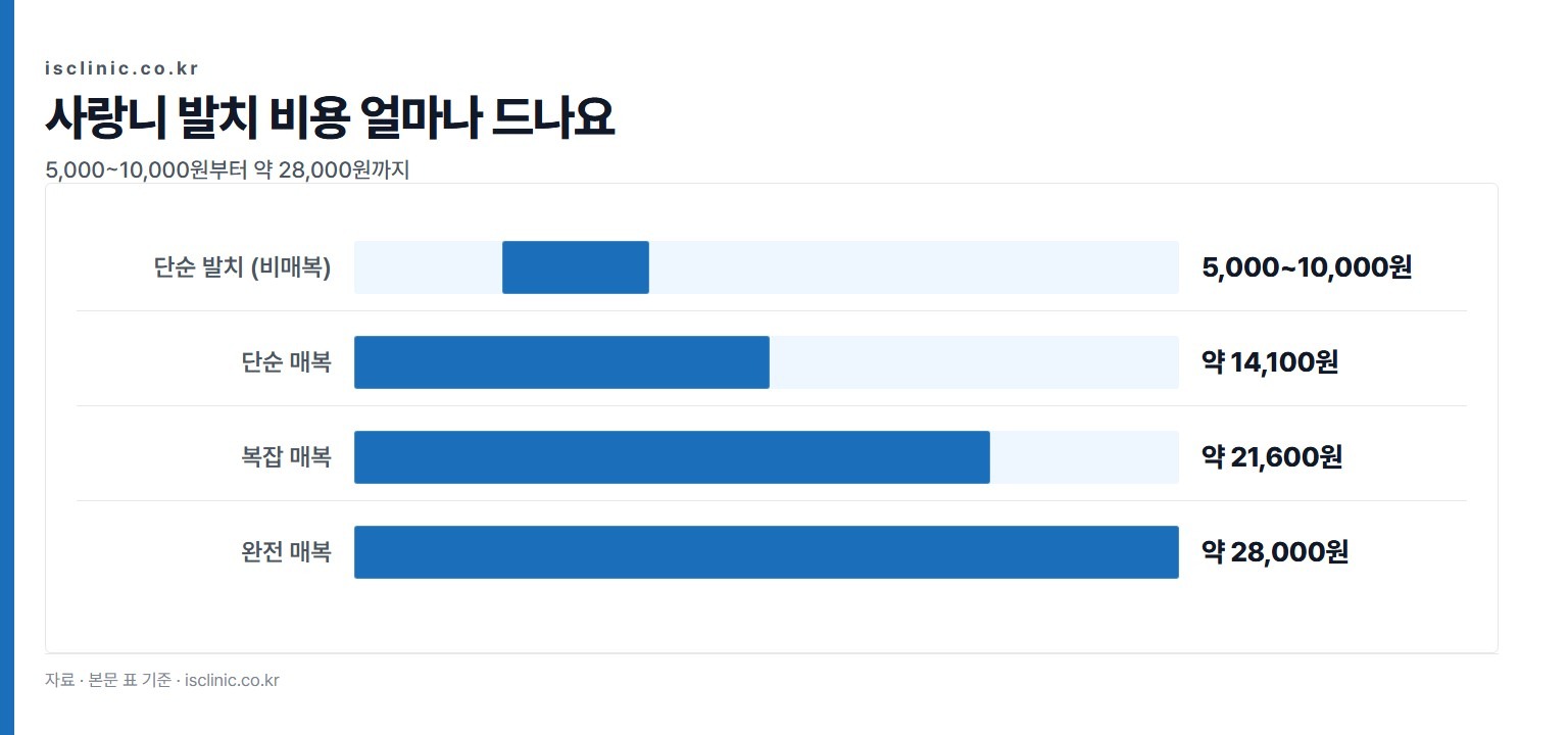 사랑니 발치 비용 얼마나 드나요 금액 비교. 단순 발치 (비매복) 5,000~10,000원부터 완전 매복 약 28,000원까지