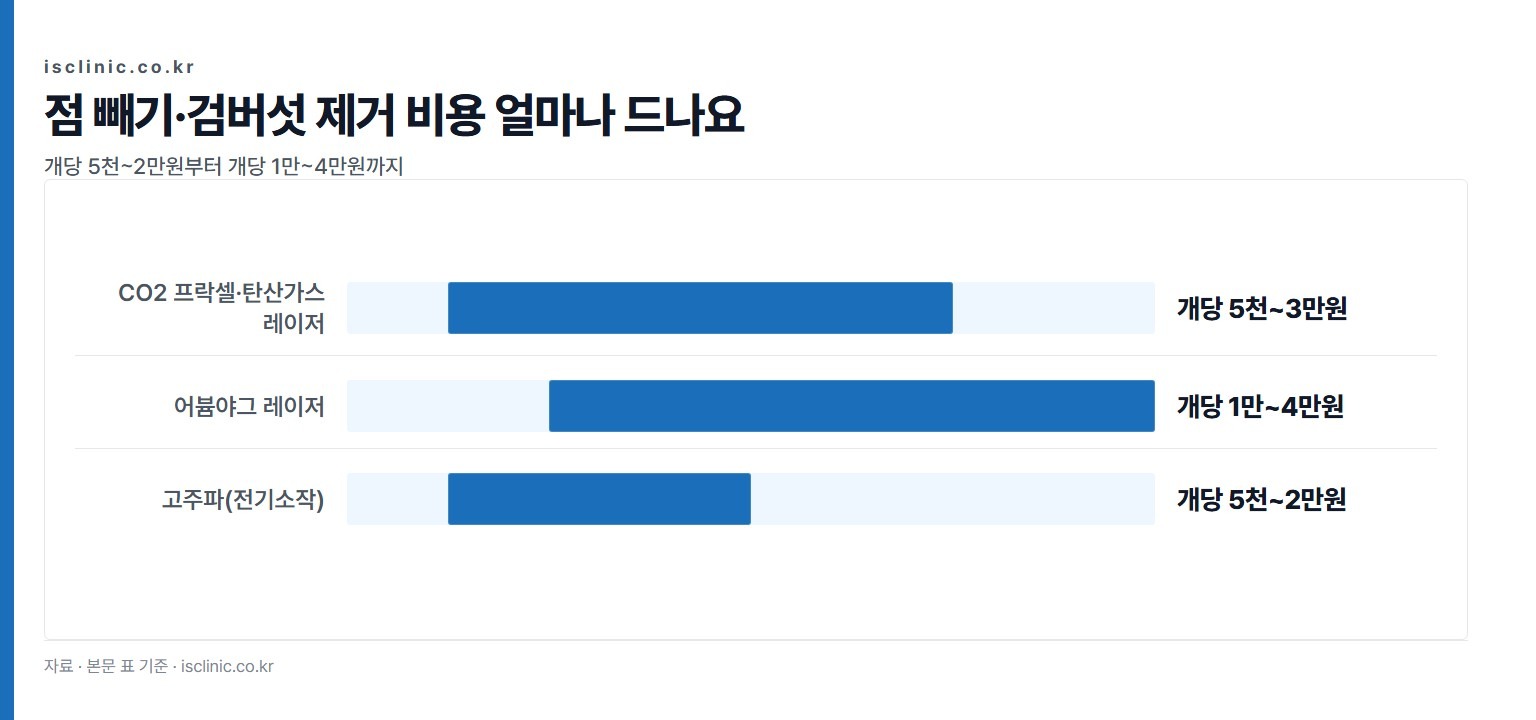 점 빼기·검버섯 제거 비용 얼마나 드나요 금액 비교. 고주파(전기소작) 개당 5천~2만원부터 어븀야그 레이저 개당 1만~4만원까지