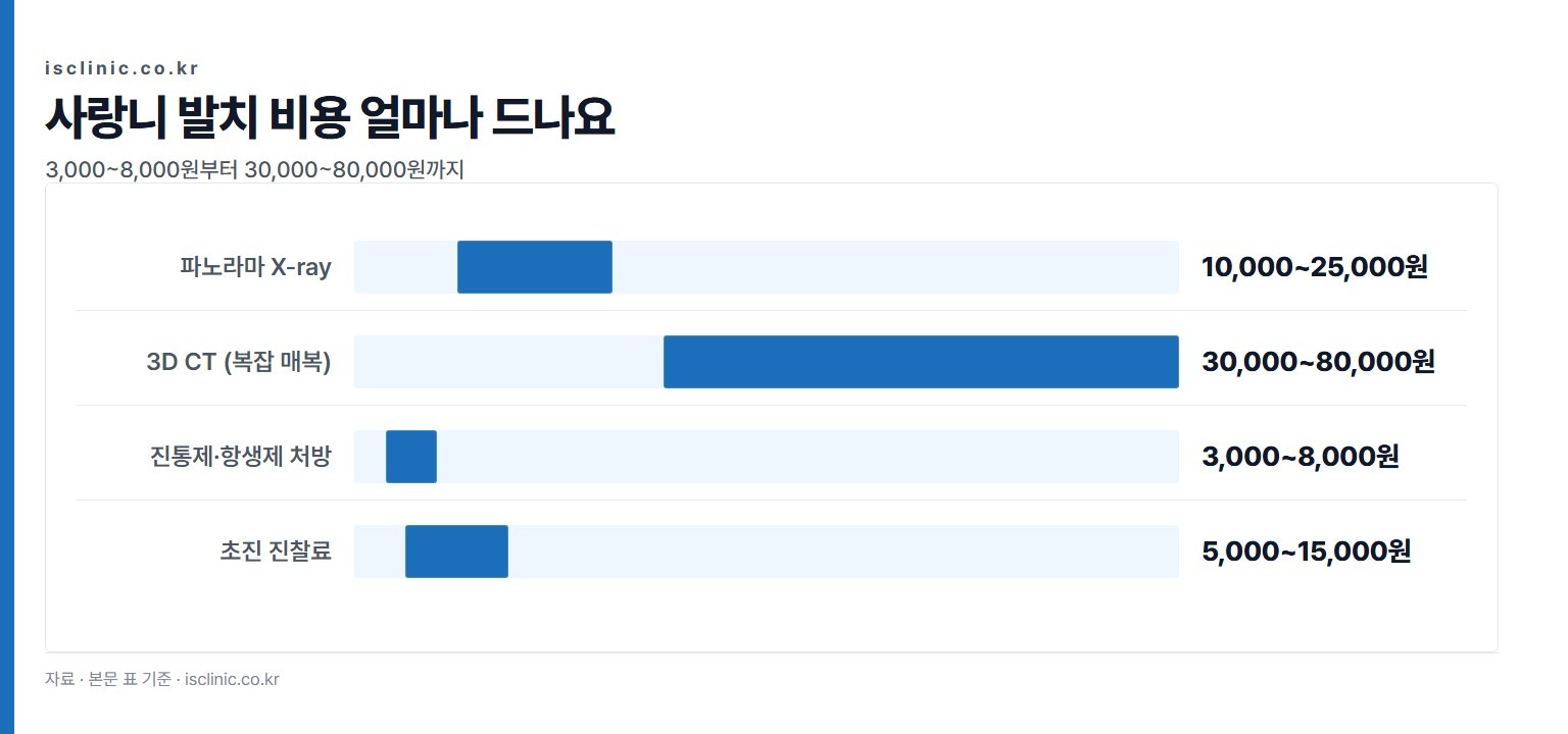 사랑니 발치 비용 얼마나 드나요 금액 비교. 진통제·항생제 처방 3,000~8,000원부터 3D CT (복잡 매복) 30,000~80,000원까지